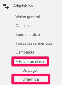 palabras-organicas-google-analytics