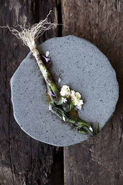 Cebolla Cordillerana